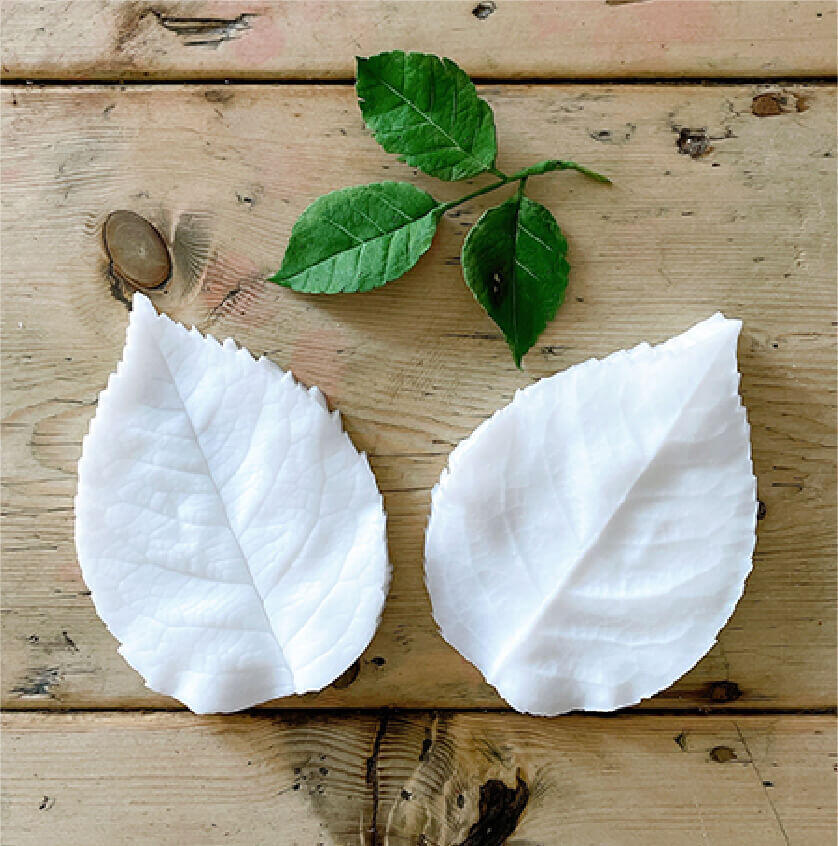 シリコン ローズ葉型