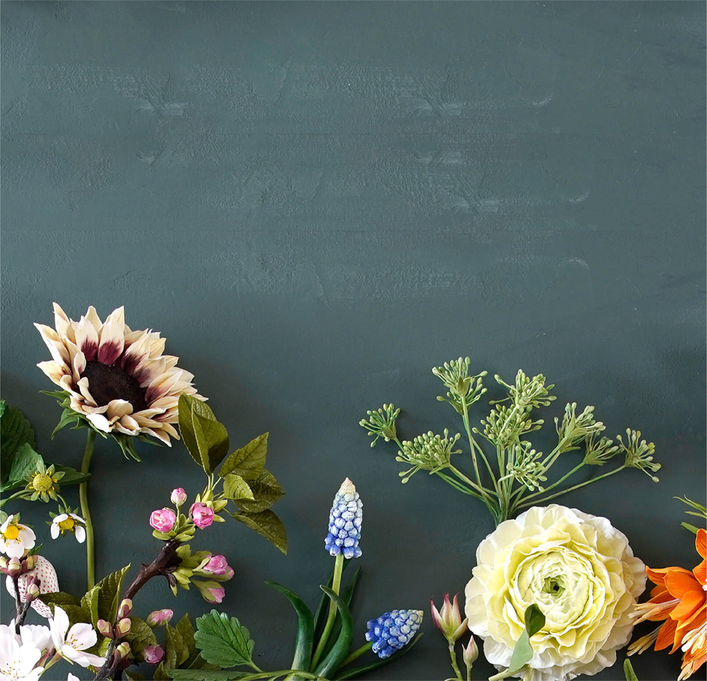 Online Exhibitionオンライン展⽰会を観る オンライン展示会